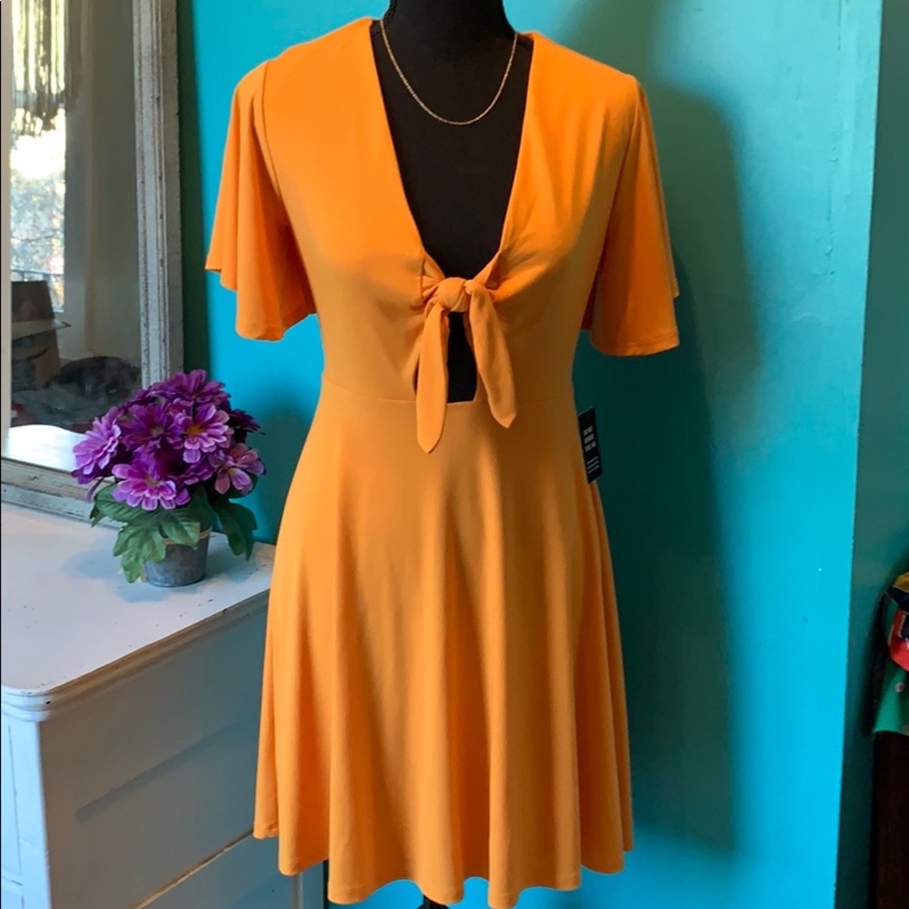 NWT Express Dress